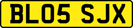 BL05SJX