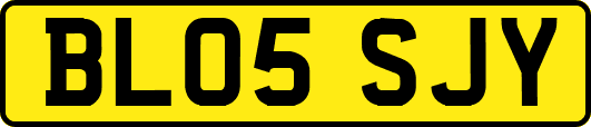 BL05SJY