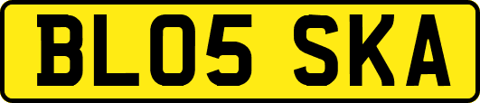 BL05SKA