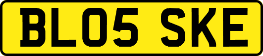 BL05SKE
