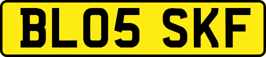 BL05SKF