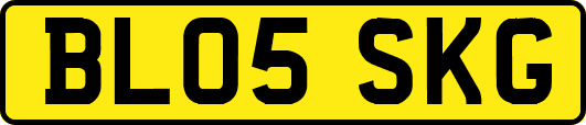 BL05SKG
