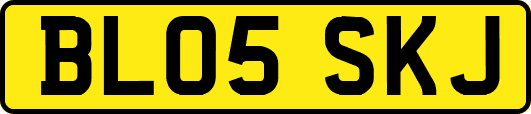 BL05SKJ