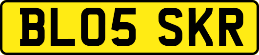 BL05SKR
