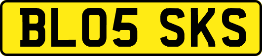 BL05SKS