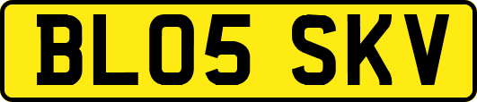 BL05SKV