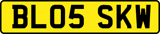 BL05SKW
