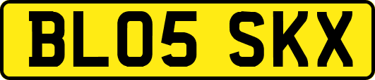 BL05SKX