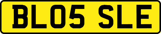 BL05SLE