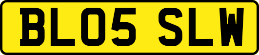 BL05SLW