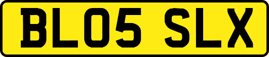 BL05SLX
