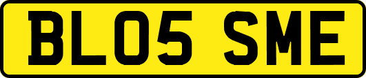 BL05SME