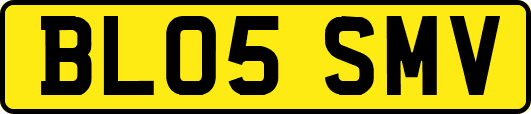 BL05SMV