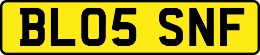 BL05SNF