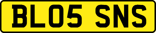 BL05SNS