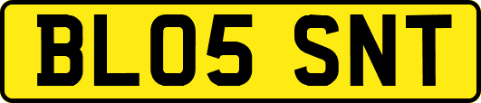 BL05SNT
