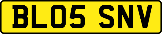 BL05SNV