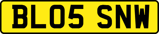 BL05SNW