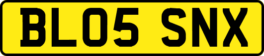 BL05SNX