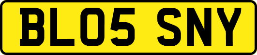 BL05SNY