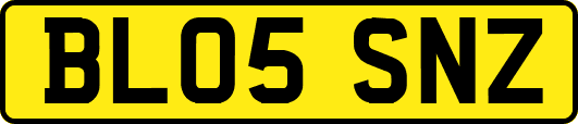 BL05SNZ