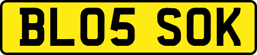 BL05SOK