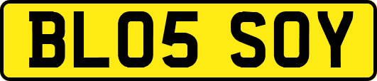 BL05SOY