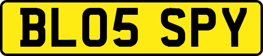 BL05SPY