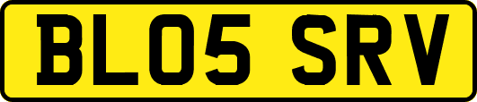 BL05SRV