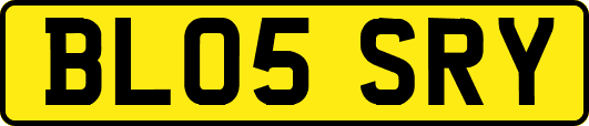 BL05SRY