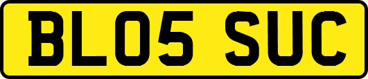 BL05SUC