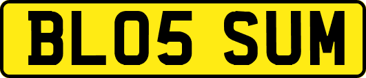 BL05SUM