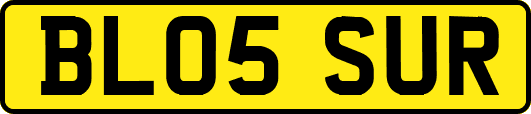 BL05SUR