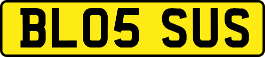 BL05SUS