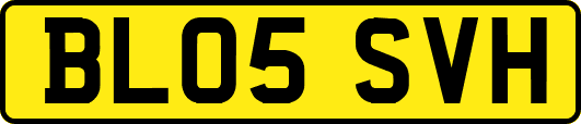 BL05SVH