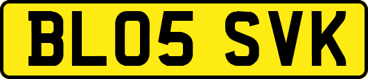 BL05SVK