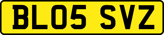 BL05SVZ