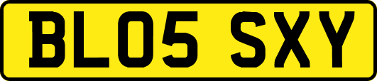 BL05SXY