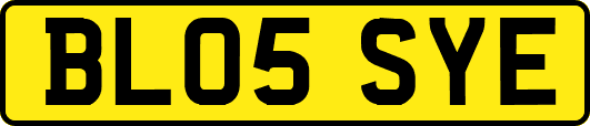 BL05SYE