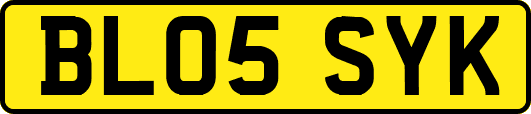 BL05SYK