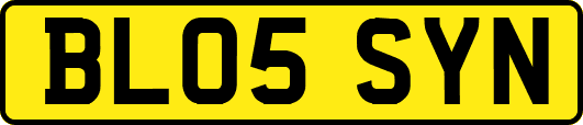 BL05SYN