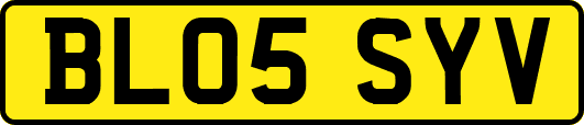 BL05SYV