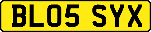 BL05SYX