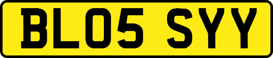 BL05SYY