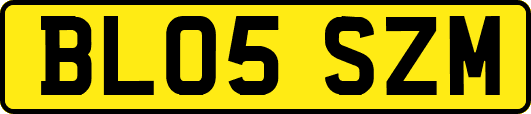 BL05SZM