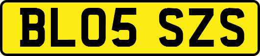BL05SZS