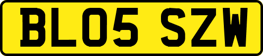 BL05SZW
