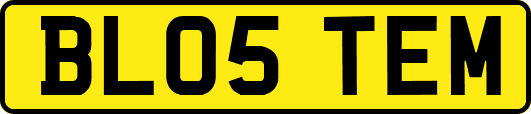 BL05TEM
