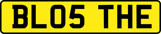 BL05THE