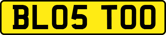 BL05TOO